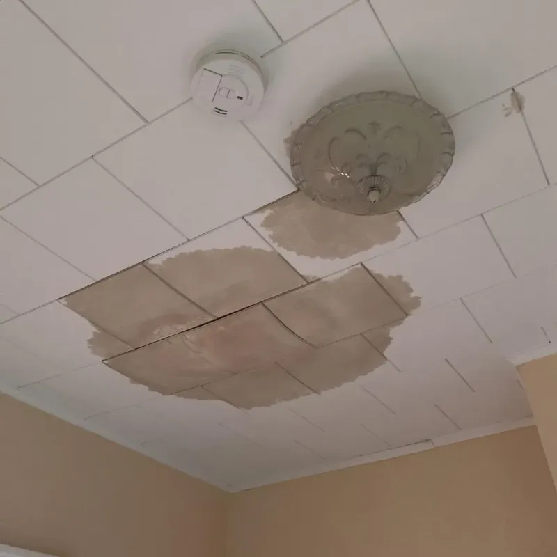Ceiling Water Damage Repair in New Hope, AL