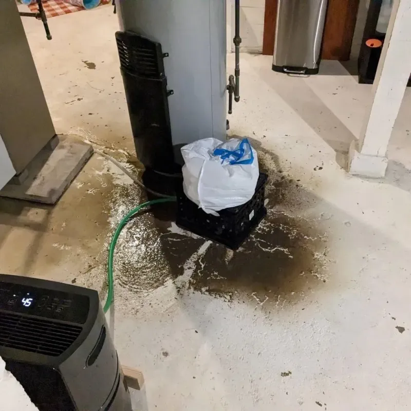 Sewage Backup Cleanup Service in New Hope, AL